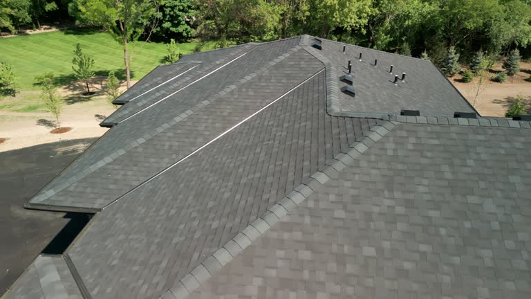 Roof Moss and Algae Removal in Bohemia, NY